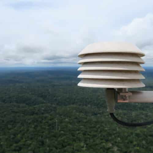 Regenwald-001_web-g-1